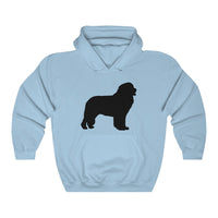 Newfoundland Unisex Heavy Blend™ Hooded Sweatshirt, 12 Colors, S - 5XL, FREE Shipping, Made in USA!!