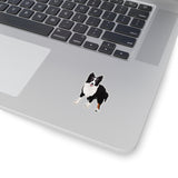 Border Collie Kiss-Cut Stickers, White or Transparent, 4 Sizes, Indoor, Not Waterproof, FREE Shipping, Made in USA!!