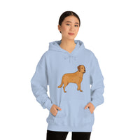 Chesapeake Bay Retriever Unisex Heavy Blend Hooded Sweatshirt, S - 5XL, 12 Colors, Cotton/Polyester, FREE Shipping, Made in Usa!!