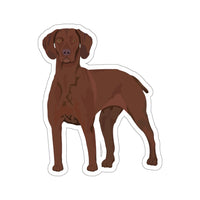 Vizsla Kiss-Cut Stickers, 4 Sizes, White or Transparent, FREE Shipping, Made in the USA!!