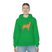 Chesapeake Bay Retriever Unisex Heavy Blend Hooded Sweatshirt, S - 5XL, 12 Colors, Cotton/Polyester, FREE Shipping, Made in Usa!!