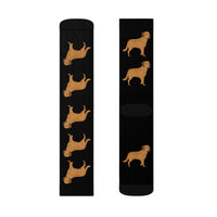 Chesapeake Bay Retriever Sublimation Socks, 3 Sizes, Polyester/Spandex, Cushioned Bottoms, FREE Shipping, Made in USA!!