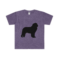 Newfoundland Men's Fitted Short Sleeve Tee