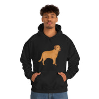 Chesapeake Bay Retriever Unisex Heavy Blend Hooded Sweatshirt, S - 5XL, 12 Colors, Cotton/Polyester, FREE Shipping, Made in Usa!!