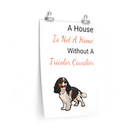 Tricolor Cavalier King Charles Spaniel Premium Matte vertical posters