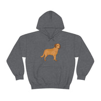 Chesapeake Bay Retriever Unisex Heavy Blend Hooded Sweatshirt, S - 5XL, 12 Colors, Cotton/Polyester, FREE Shipping, Made in Usa!!