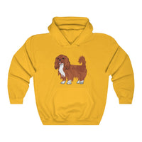 Ruby Cavalier King Charles Spaniel Unisex Heavy Blend™ Hooded Sweatshirt, S - 5XL, 12 Colors, Cotton/Polyester, Made in the USA!!