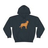 Chesapeake Bay Retriever Unisex Heavy Blend Hooded Sweatshirt, S - 5XL, 12 Colors, Cotton/Polyester, FREE Shipping, Made in Usa!!