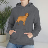 Chesapeake Bay Retriever Unisex Heavy Blend Hooded Sweatshirt, S - 5XL, 12 Colors, Cotton/Polyester, FREE Shipping, Made in Usa!!