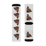 Cocker Spaniel Sublimation Socks, 3 Sizes, Polyester and Spandex, Ribbed Tube, Made in the USA!!