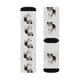 Miniature American Shepherd Sublimation Socks, 3 Sizes, Polyester & Spandex, Ribbed Tube, Cushioned Bottoms, FREE Shipping, Made in USA!!