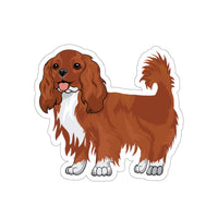 Ruby Cavalier King Charles Spaniel Die-Cut Stickers, 5 Sizes, Water Resistant Vinyl, Indoor/Outdoor, Matte Finish, FREE Shipping, Made in USA!!