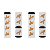 Chesapeake Bay Retriever Sublimation Socks, 3 Sizes, Polyester/Spandex, Cushioned Bottoms, FREE Shipping, Made in USA!!