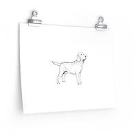 Labrador Retriever Premium Matte horizontal posters