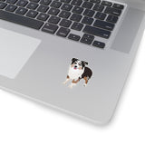 Miniature American Shepherd Kiss-Cut Stickers, 4 Sizes, White or Transparent Background, Indoor Use, FREE Shipping, Made in the USA!!