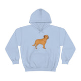 Chesapeake Bay Retriever Unisex Heavy Blend Hooded Sweatshirt, S - 5XL, 12 Colors, Cotton/Polyester, FREE Shipping, Made in Usa!!