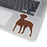 Vizsla Kiss-Cut Stickers, 4 Sizes, White or Transparent, FREE Shipping, Made in the USA!!