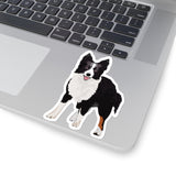 Border Collie Kiss-Cut Stickers, White or Transparent, 4 Sizes, Indoor, Not Waterproof, FREE Shipping, Made in USA!!