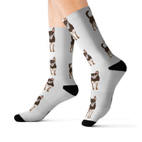 Chihuahua Sublimation Socks, Polyester & Spandex, 3 Sizes, FREE Shipping, Made in the USA!!