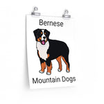 Bernese Mountain Dog Premium Matte vertical posters