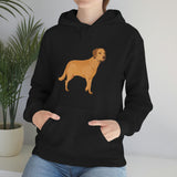 Chesapeake Bay Retriever Unisex Heavy Blend Hooded Sweatshirt, S - 5XL, 12 Colors, Cotton/Polyester, FREE Shipping, Made in Usa!!