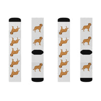 Chesapeake Bay Retriever Sublimation Socks, 3 Sizes, Polyester/Spandex, Cushioned Bottoms, FREE Shipping, Made in USA!!