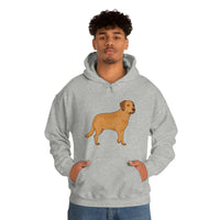 Chesapeake Bay Retriever Unisex Heavy Blend Hooded Sweatshirt, S - 5XL, 12 Colors, Cotton/Polyester, FREE Shipping, Made in Usa!!