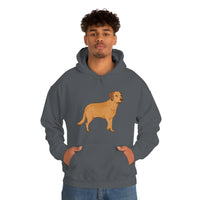 Chesapeake Bay Retriever Unisex Heavy Blend Hooded Sweatshirt, S - 5XL, 12 Colors, Cotton/Polyester, FREE Shipping, Made in Usa!!