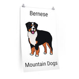 Bernese Mountain Dog Premium Matte vertical posters