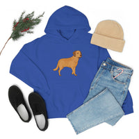 Chesapeake Bay Retriever Unisex Heavy Blend Hooded Sweatshirt, S - 5XL, 12 Colors, Cotton/Polyester, FREE Shipping, Made in Usa!!