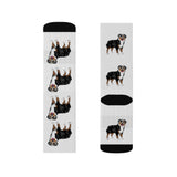 Australian Shepherd Sublimation Socks, 3 Sizes, 60% Polyester, Ribbed Tube, Cushioned Bottoms, FREE Shipping, Made in USA!!