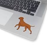 Rhodesian Ridgeback Kiss-Cut Stickers, 4 Sizes, Vinyl, Indoor Use Only, FREE Shipping, Made in USA!!