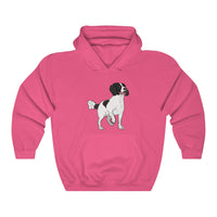English Springer Spaniel Unisex Heavy Blend™ Hooded Sweatshirt, S - 5XL, 13 Colors, Made in the USA!!