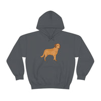 Chesapeake Bay Retriever Unisex Heavy Blend Hooded Sweatshirt, S - 5XL, 12 Colors, Cotton/Polyester, FREE Shipping, Made in Usa!!