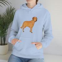 Chesapeake Bay Retriever Unisex Heavy Blend Hooded Sweatshirt, S - 5XL, 12 Colors, Cotton/Polyester, FREE Shipping, Made in Usa!!