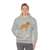 Chesapeake Bay Retriever Unisex Heavy Blend Hooded Sweatshirt, S - 5XL, 12 Colors, Cotton/Polyester, FREE Shipping, Made in Usa!!