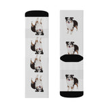 Miniature American Shepherd Sublimation Socks, 3 Sizes, Polyester & Spandex, Ribbed Tube, Cushioned Bottoms, FREE Shipping, Made in USA!!