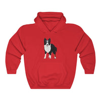 Border Collie Unisex Heavy Blend™ Hooded Sweatshirt, Cotton & Polyester, 7 Colors, S - 3XL, Made in USA!!, FREE Shipping!!