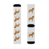 Chesapeake Bay Retriever Sublimation Socks, 3 Sizes, Polyester/Spandex, Cushioned Bottoms, FREE Shipping, Made in USA!!