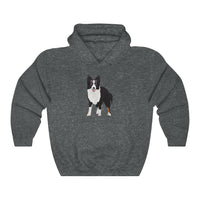 Border Collie Unisex Heavy Blend™ Hooded Sweatshirt, Cotton & Polyester, 7 Colors, S - 3XL, Made in USA!!, FREE Shipping!!