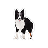 Border Collie Die-Cut Stickers, 5 Sizes, Water Resistant Vinyl, Waterproof Adhesive, Indoor/Outdoor, Matte Finish, FREE Shipping, Made in USA!!