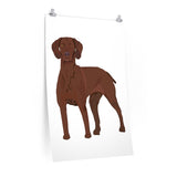 Vizsla Premium Matte vertical posters, 7 Sizes, FREE Shipping, Made in the USA!!