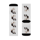 Miniature American Shepherd Sublimation Socks, 3 Sizes, Polyester & Spandex, Ribbed Tube, Cushioned Bottoms, FREE Shipping, Made in USA!!