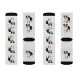 Miniature American Shepherd Sublimation Socks, 3 Sizes, Polyester & Spandex, Ribbed Tube, Cushioned Bottoms, FREE Shipping, Made in USA!!