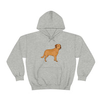 Chesapeake Bay Retriever Unisex Heavy Blend Hooded Sweatshirt, S - 5XL, 12 Colors, Cotton/Polyester, FREE Shipping, Made in Usa!!