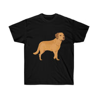 Chesapeake Bay Retriever Unisex Ultra Cotton Tee, S - 5XL, 10 Colors, Medium Fabric, FREE Shipping, Made in Usa!!