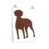Vizsla Premium Matte vertical posters, 7 Sizes, FREE Shipping, Made in the USA!!