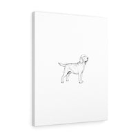 Labrador Retriever Stretched canvas