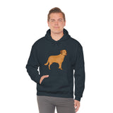 Chesapeake Bay Retriever Unisex Heavy Blend Hooded Sweatshirt, S - 5XL, 12 Colors, Cotton/Polyester, FREE Shipping, Made in Usa!!