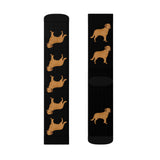 Chesapeake Bay Retriever Sublimation Socks, 3 Sizes, Polyester/Spandex, Cushioned Bottoms, FREE Shipping, Made in USA!!
